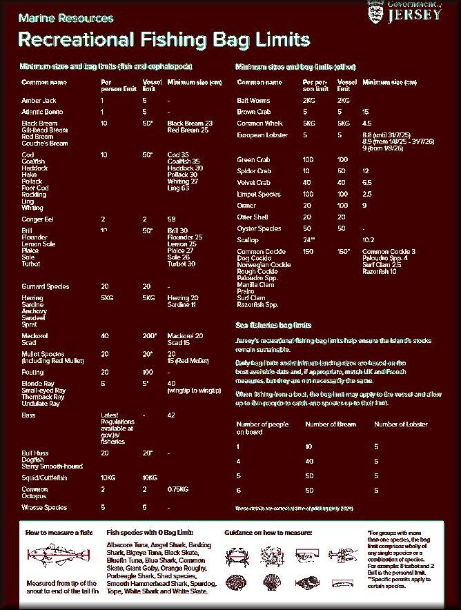 Carte Tailles Jersey 2024jpg